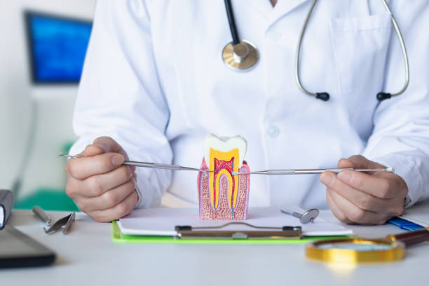 Best Weekend Emergency Dentist in Lake Shore, MD